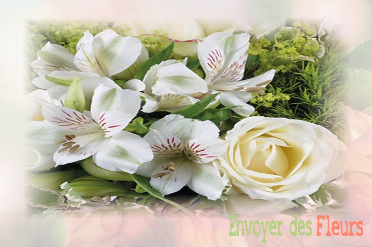 envoyer des fleurs à à NOYELLES-LES-VERMELLES